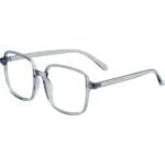 19 OPTICS STYLE TRANSLUCENT-GREY-ACETATE-OVERSIZED-WOMEN-EYEGLASSES