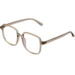 3 OPTICS STYLE-TRANSLUCENT-BROWN-ACETATE-OVERSIZED-WOMEN-EYEGLASSES-700×420