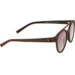  6 OPTICS STYLE-BROWN-ACETATE-ROUND-MEN-SUNGLASSES